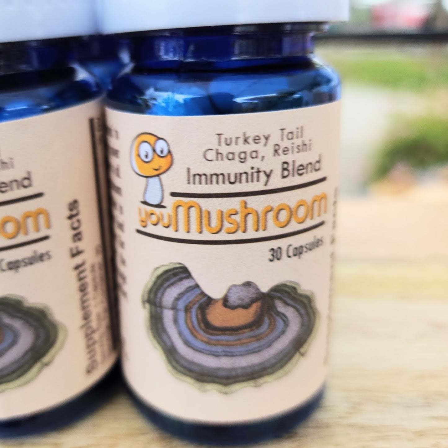 Supplement - Turkey Tail, Chaga, Reishi - Immunity Blend (30 Capsules)