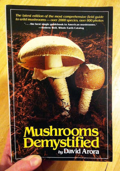 Book - Mushrooms Demystified