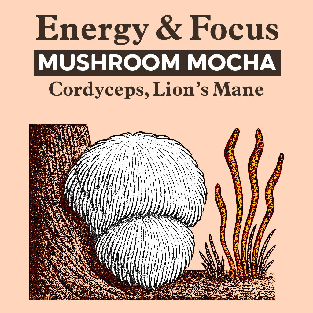Drink - Energy & Focus Mocha