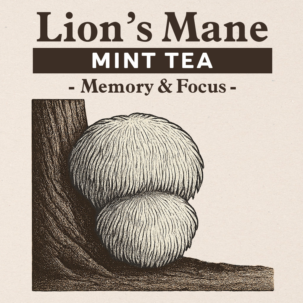 Drink - Lion's Mane Mint Tea