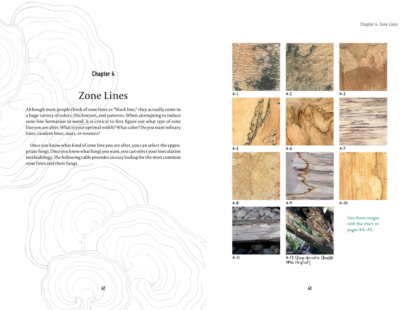 Book - Spalting 101: The Ultimate Guide to Coloring Wood with Fungi