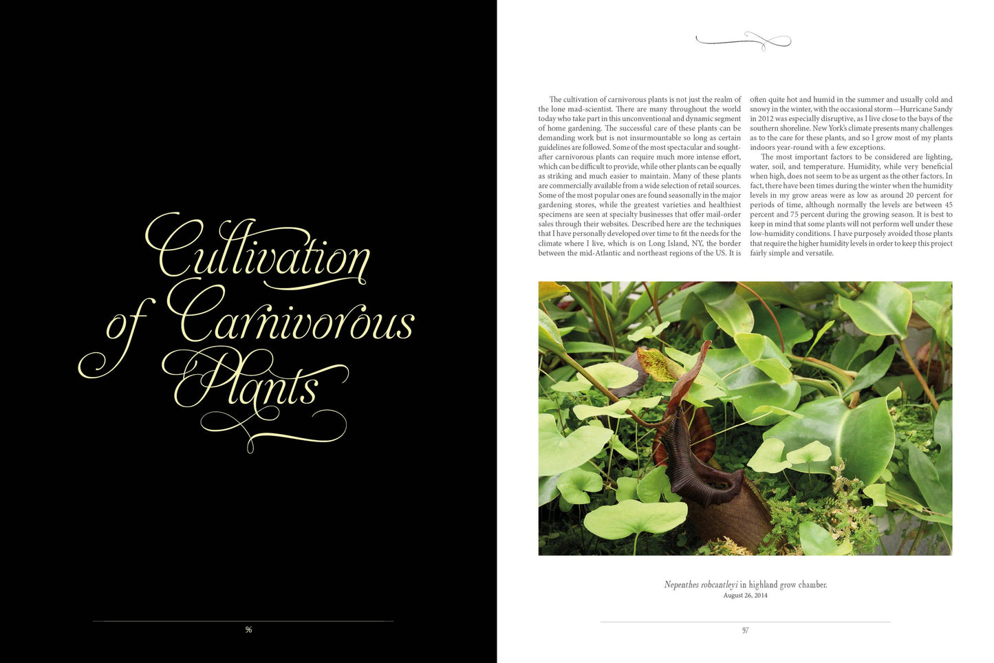 Book - The Sinister Beauty of Carnivorous Plants