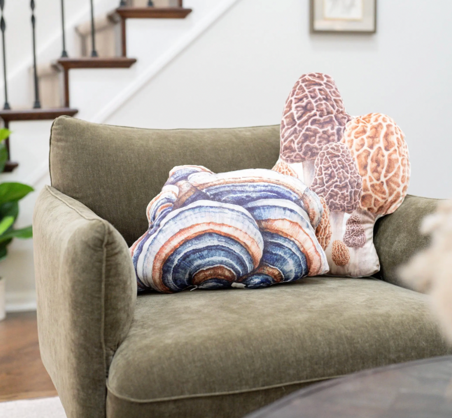 Pillow - Turkey Tail