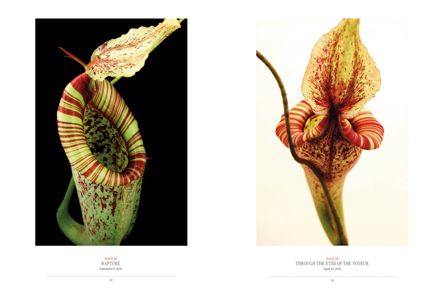 Book - The Sinister Beauty of Carnivorous Plants