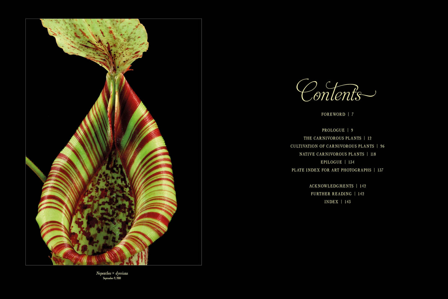 Book - The Sinister Beauty of Carnivorous Plants