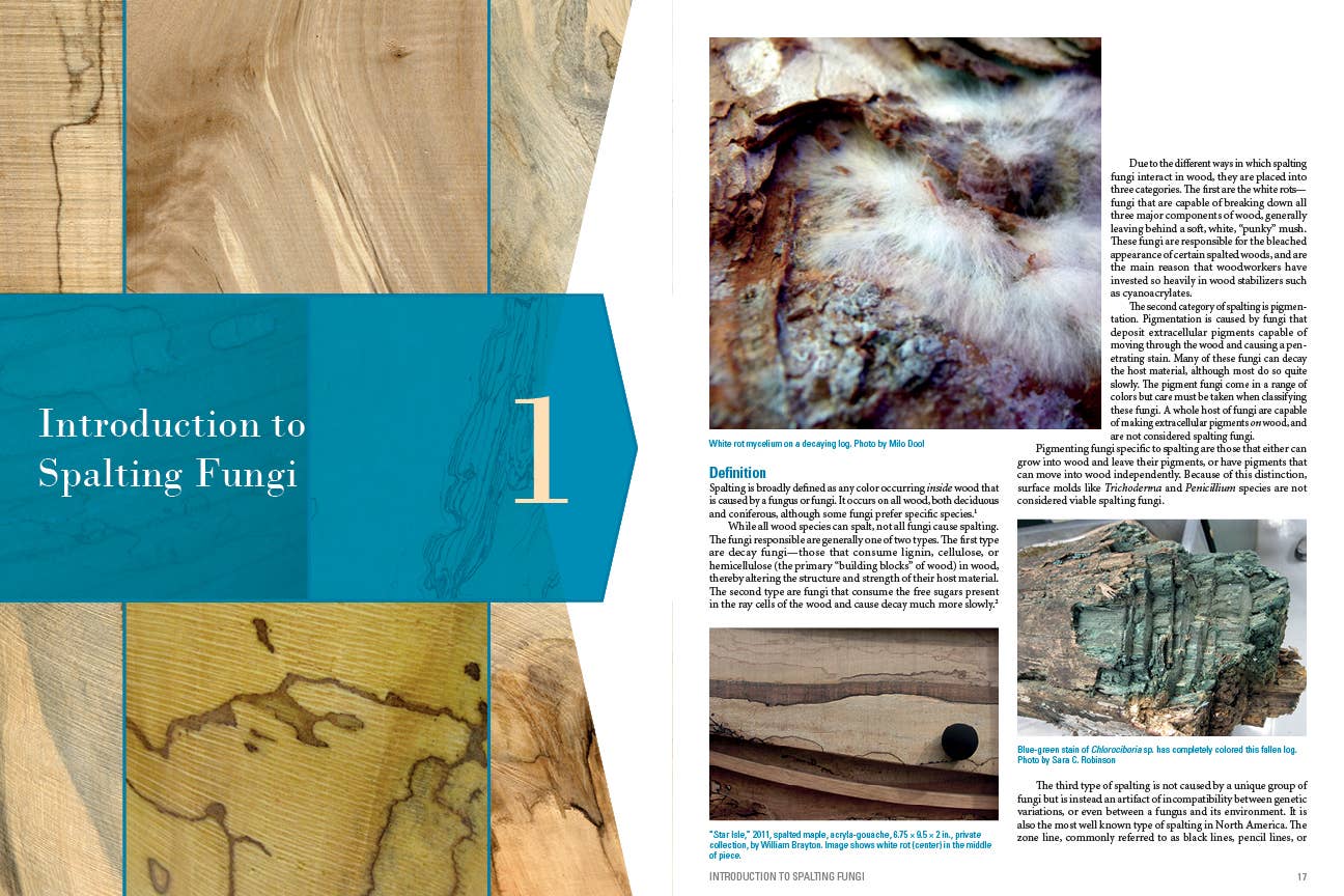Book - Spalted Wood