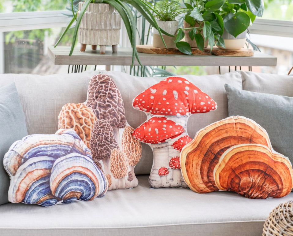 Pillow - Turkey Tail