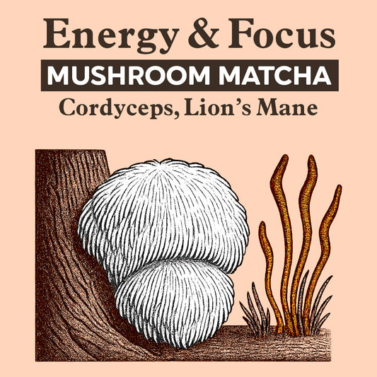 Drink - Energy & Focus Matcha