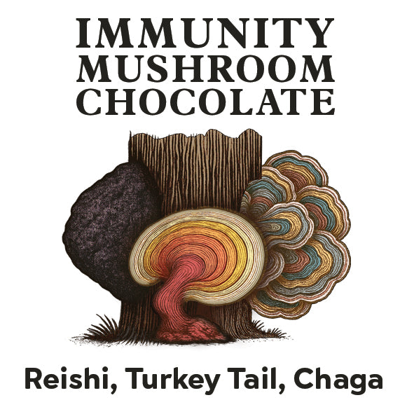 Chocolate - Immunity Blend - Reishi, Chaga, Turkey Tail