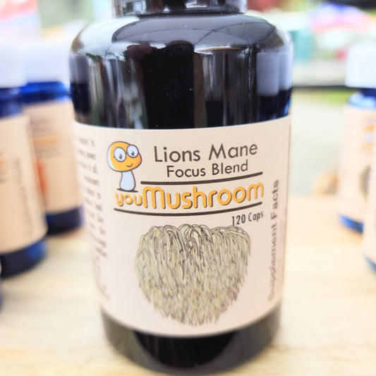 Supplement - Lion's Mane - Focus Blend (120 Capsules)