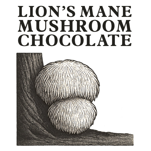 Chocolate - Lion's Mane
