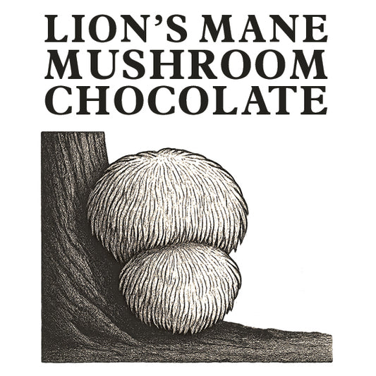 Chocolate - Lion's Mane