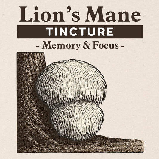 Tincture - Lion's Mane