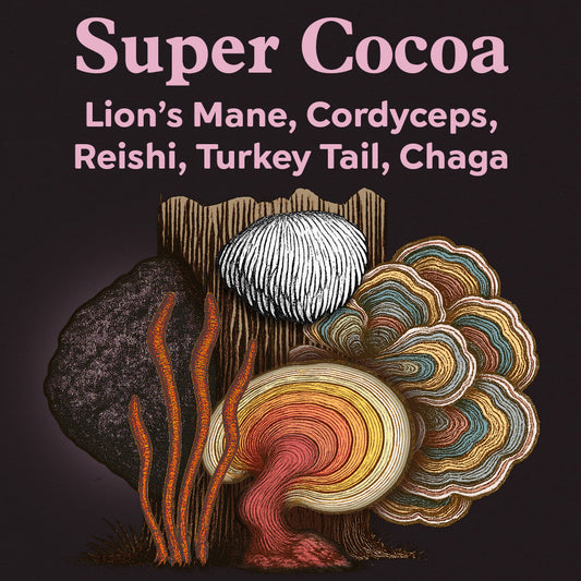 Drink - Super Mushroom Cocoa