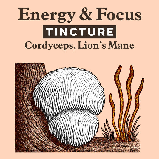 Tincture - Energy & Focus