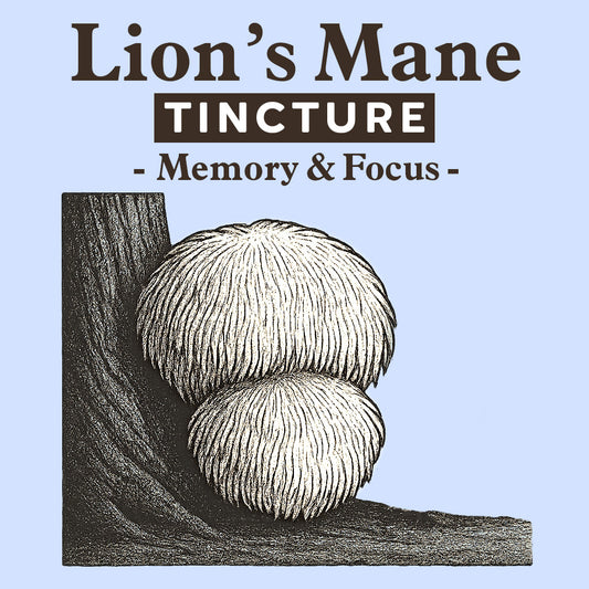 Tincture - Lion's Mane