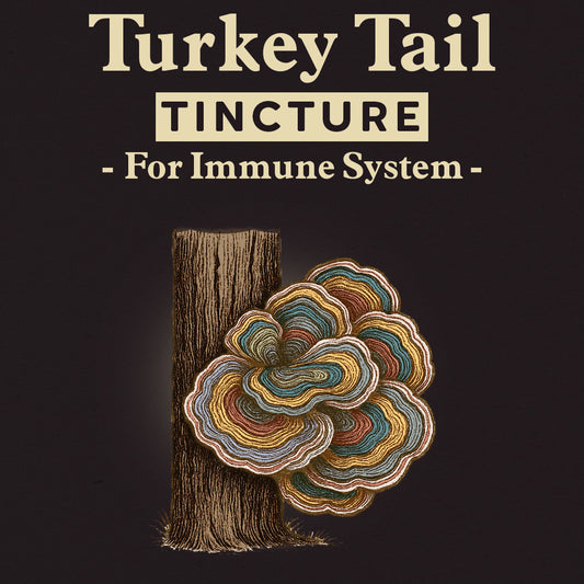 Tincture - Turkey Tail