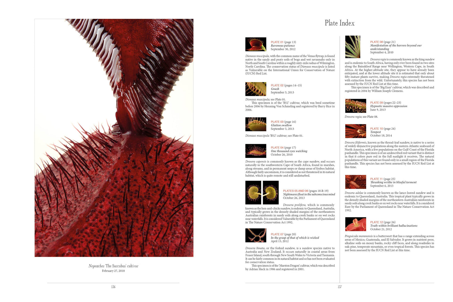 Book - The Sinister Beauty of Carnivorous Plants