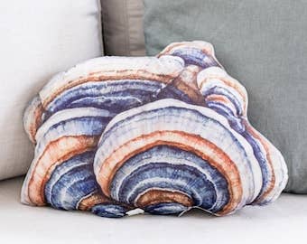 Pillow - Turkey Tail