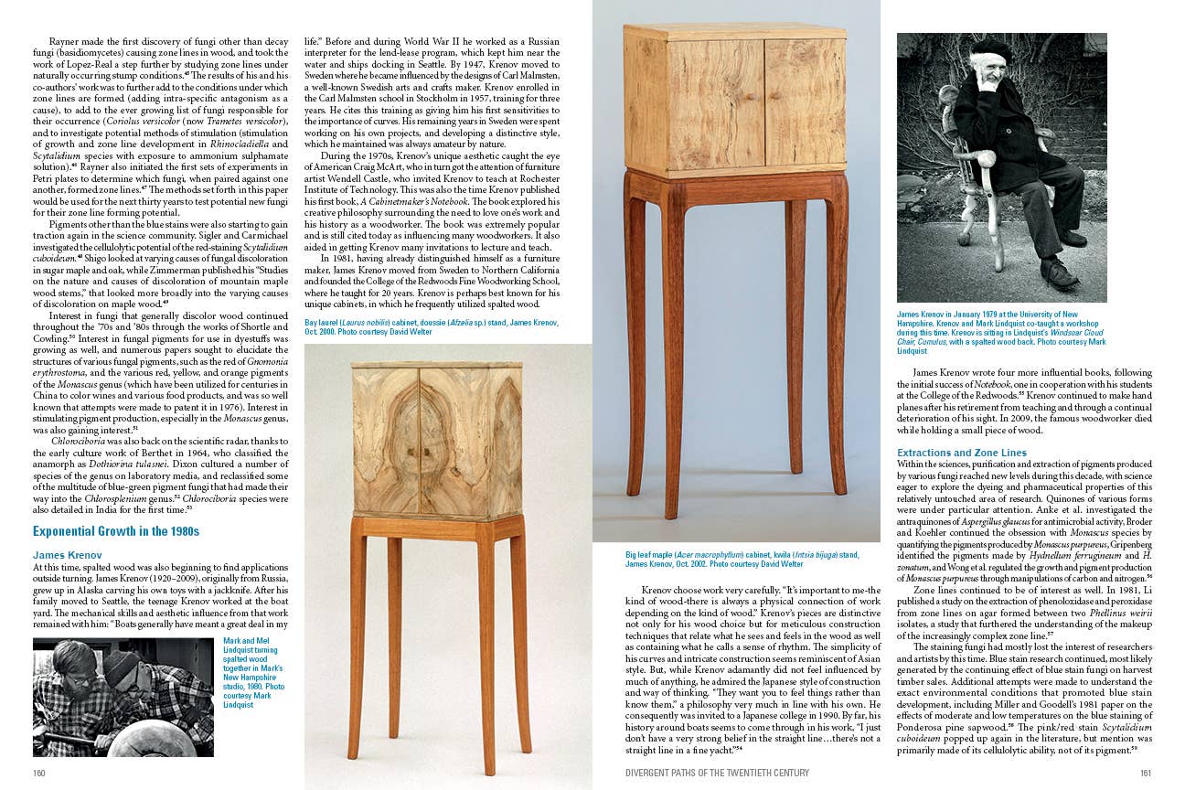 Book - Spalted Wood