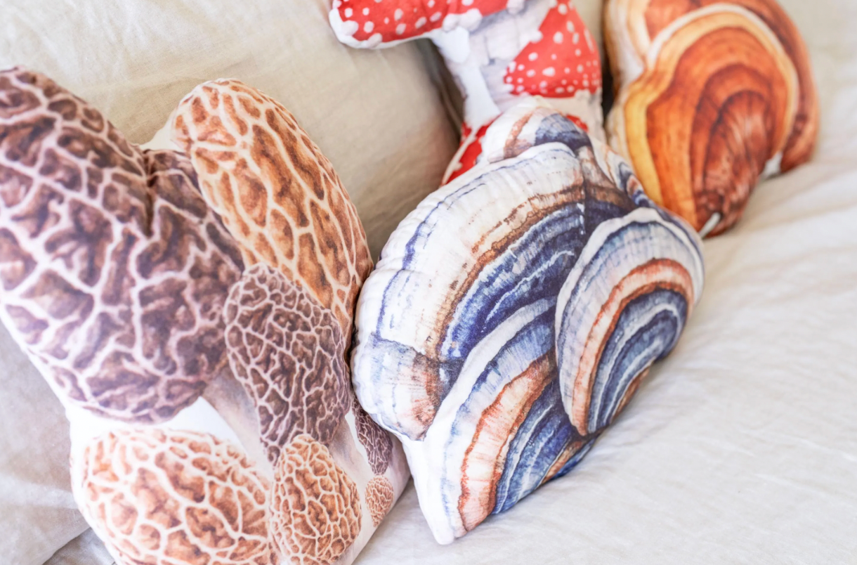 Pillow - Turkey Tail
