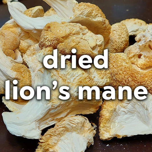 Dried Mushrooms - Lion's Mane (1 Ounce)