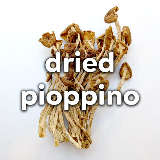 Dried Mushrooms - Pioppino (1 Ounce)