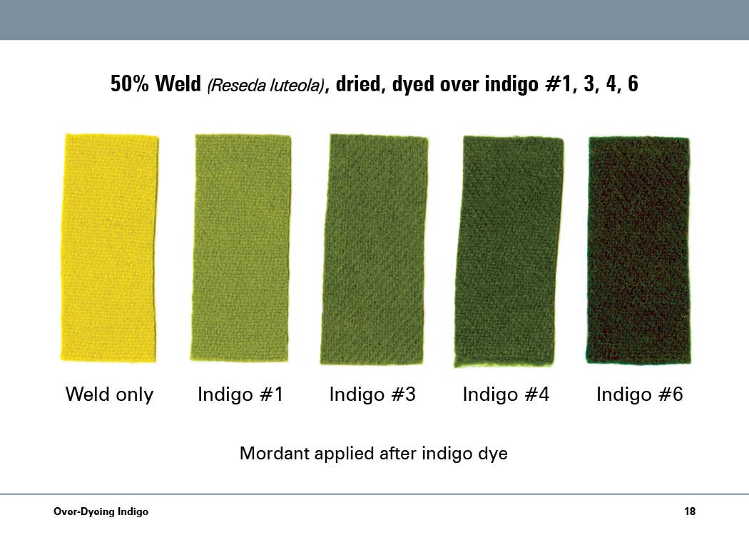 Book - The Studio Formulas Set for The Art & Science of Natural Dye