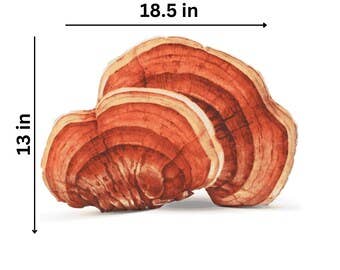 Pillow - Reishi
