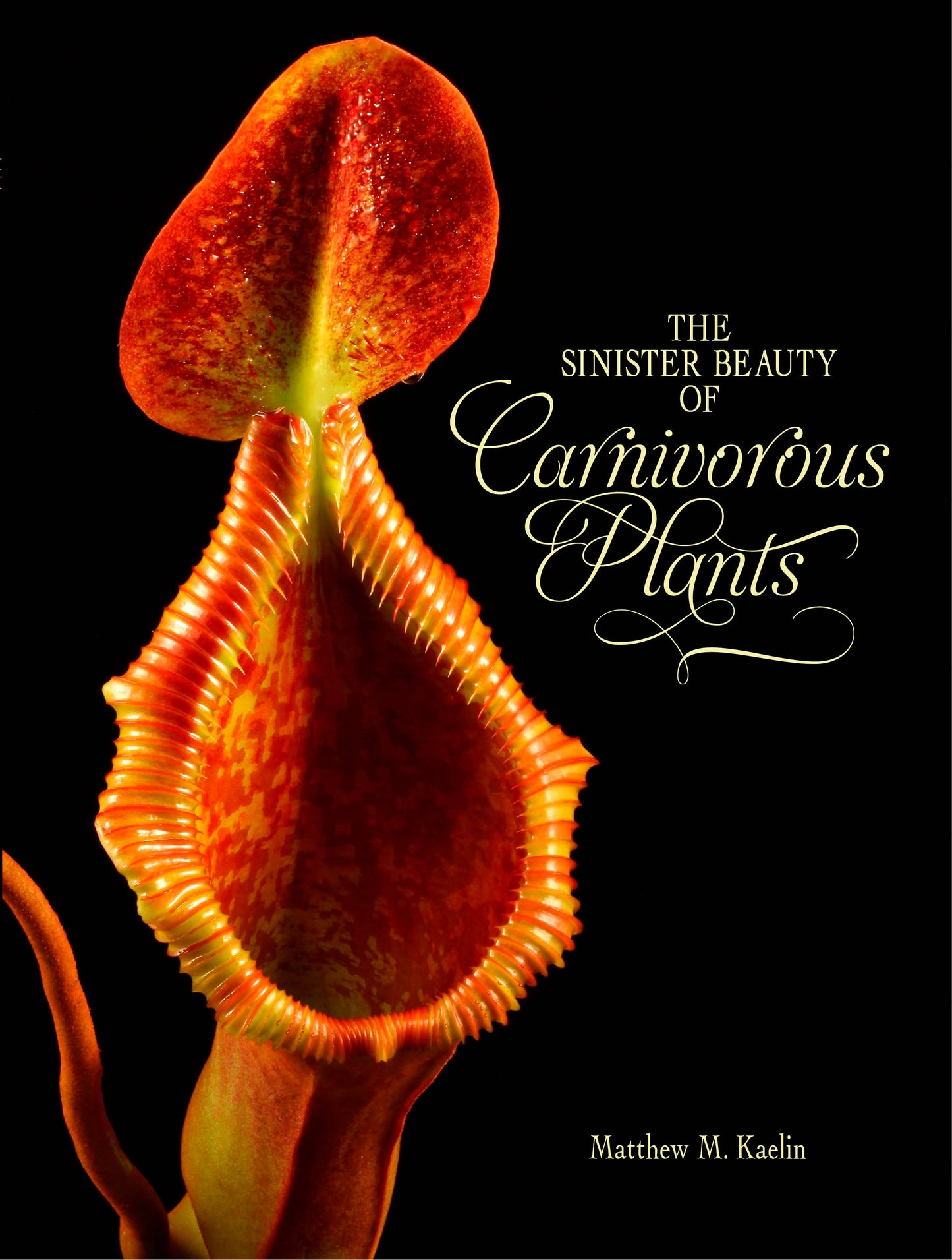 Book - The Sinister Beauty of Carnivorous Plants