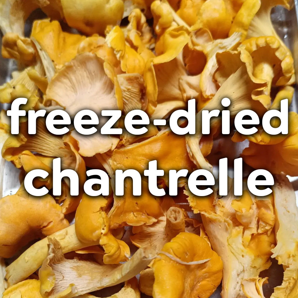 Freeze Dried Wild Mushrooms - Chantrelle (1 Ounce)