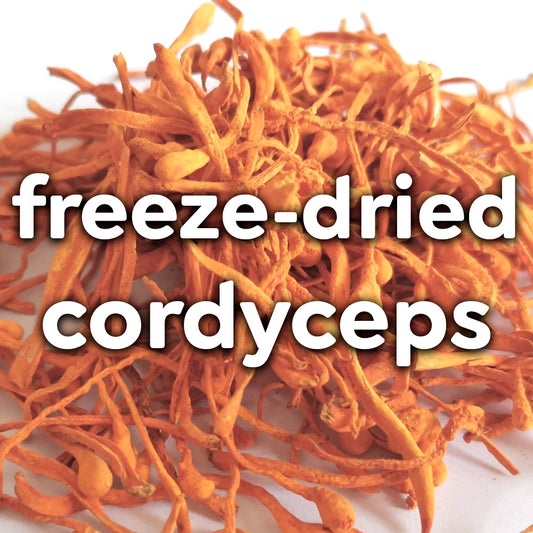 Freeze Dried Mushrooms - Cordyceps (0.5 Ounce)