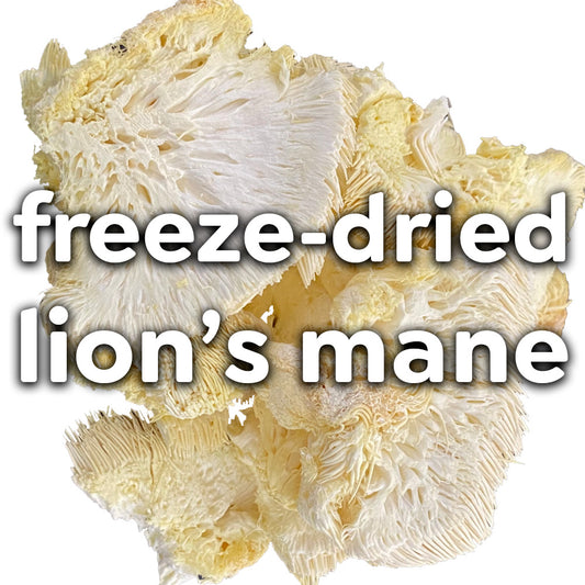 Freeze Dried Mushrooms - Lion's Mane (1 Ounce)