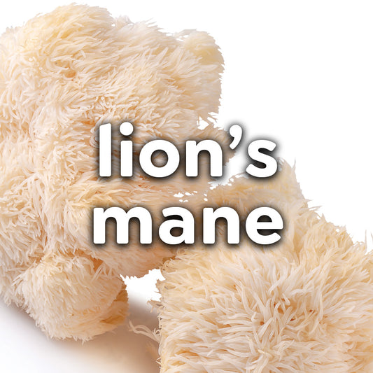 Fresh Lions Mane Mushrooms