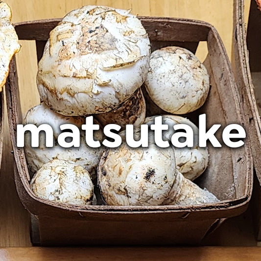 Fresh Wild Mushrooms - Matsutake (Pine)