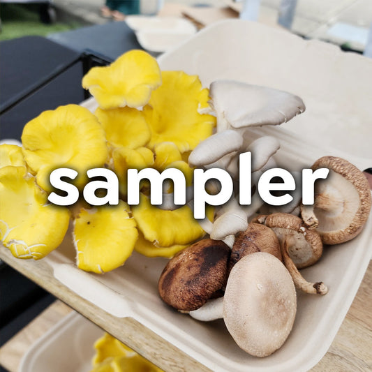 Fresh Sampler Box