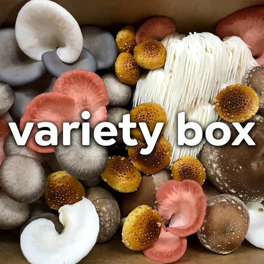 Fresh Mushrooms - Variety Pack